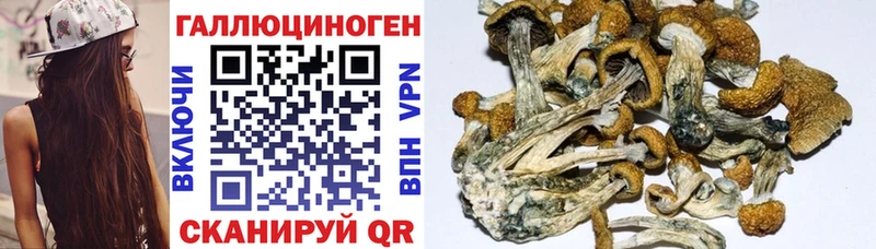 Псилоцибиновые грибы мицелий  что такое наркотик  Иваново 